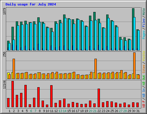 Daily usage for July 2024