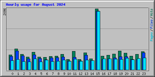 Hourly usage for August 2024