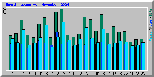 Hourly usage for November 2024